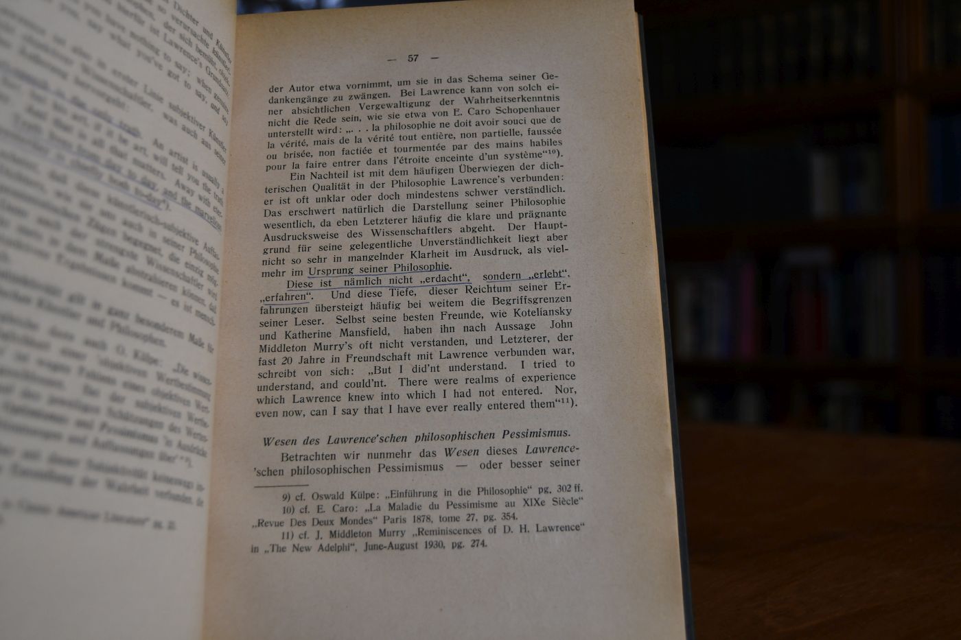 Der Pessimismus bei D.H. Lawrence.