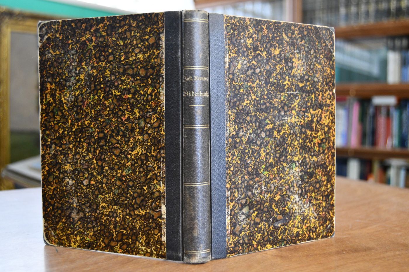 Das Bilderbuch aus meiner Knabenzeit. Erinnerungen aus den Jahren 1786 bis 1804.