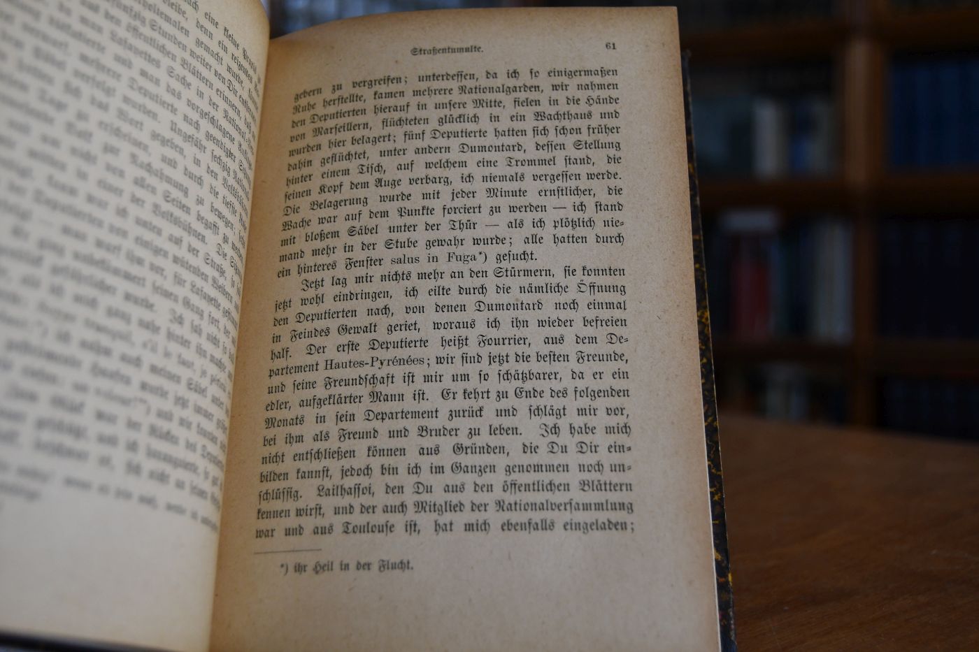 Das Bilderbuch aus meiner Knabenzeit. Erinnerungen aus den Jahren 1786 bis 1804.