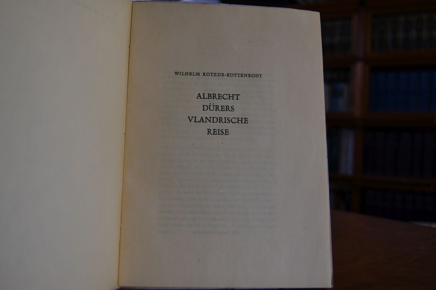 Albrecht Dürers vlandrische Reise.