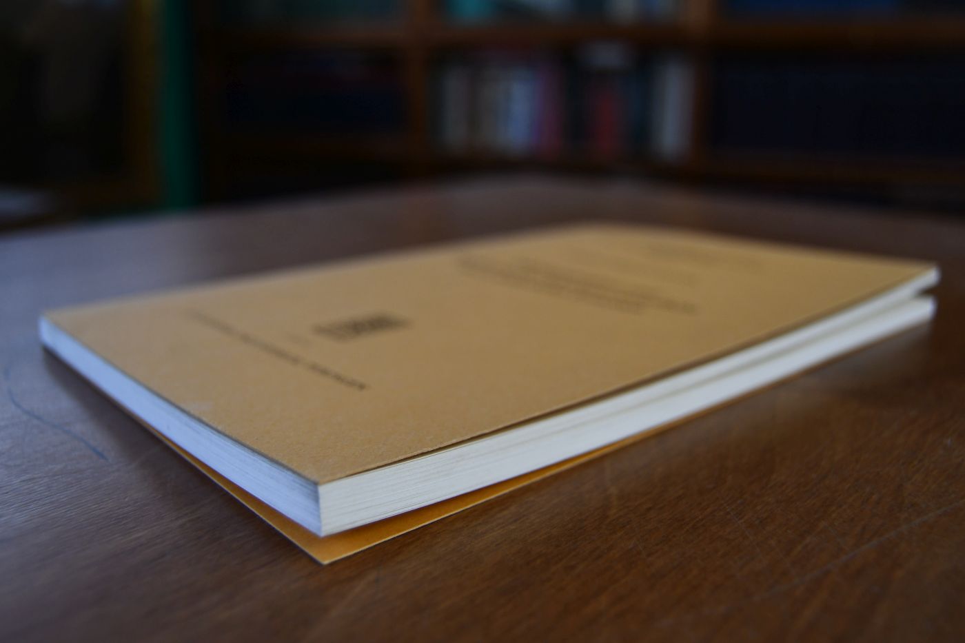 Haftungsstruktur und Minderung der Schadensersatzpflicht durch richterliches Ermessen. Die Probleme einer Abstufung der Haftung im Schadensersatzrecht, Kritik der Paragraphen 225a BGB und Vorschlag für eine Neuformulierung.