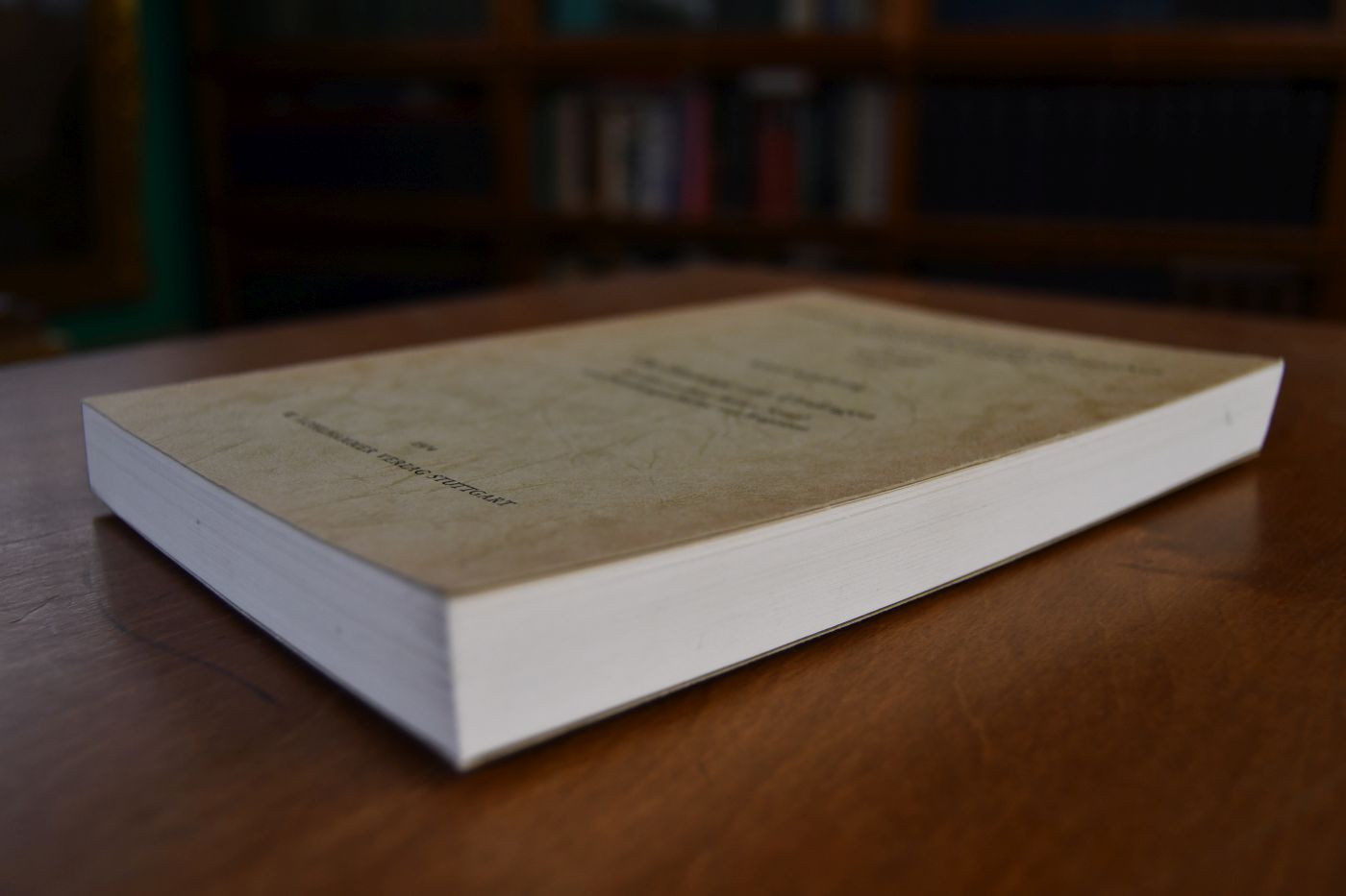 Die Herzoge von Urslingen. Studien zu ihrer Besitz-, Sozial- und Familiengeschichte mit Regesten.