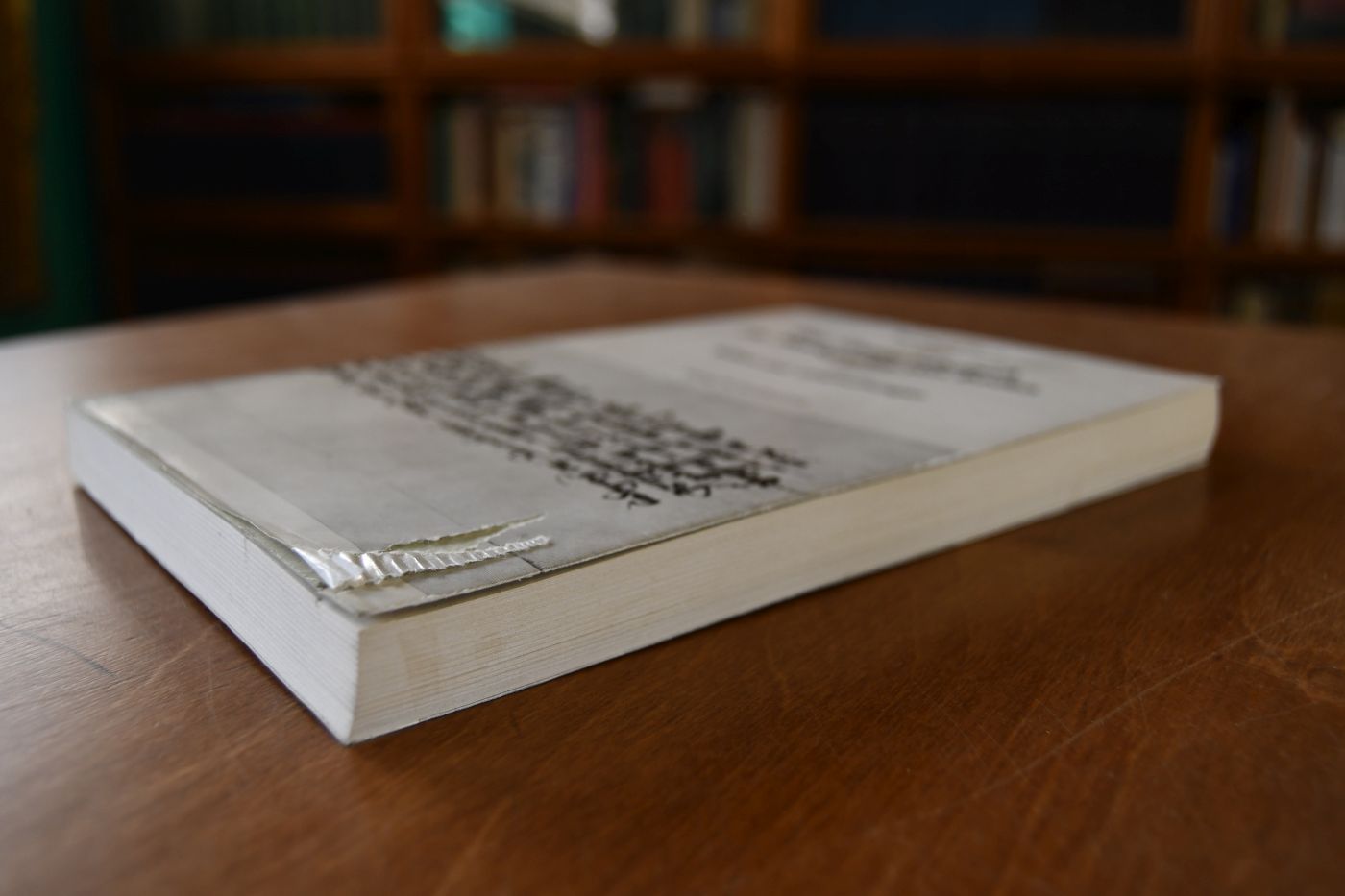 Das älteste Lehnbuch der Markgrafen von Baden (1381). Edition und Untersuchungen. Ein Beitrag zur Geschichte des Lehnswesens im Spätmittelalter.
