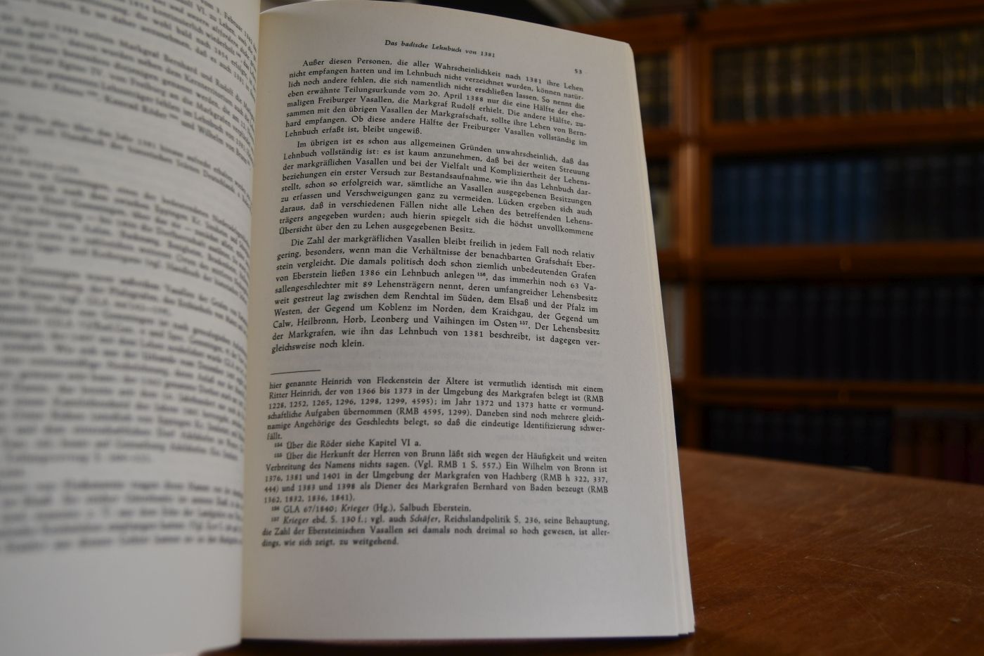 Das älteste Lehnbuch der Markgrafen von Baden (1381). Edition und Untersuchungen. Ein Beitrag zur Geschichte des Lehnswesens im Spätmittelalter.