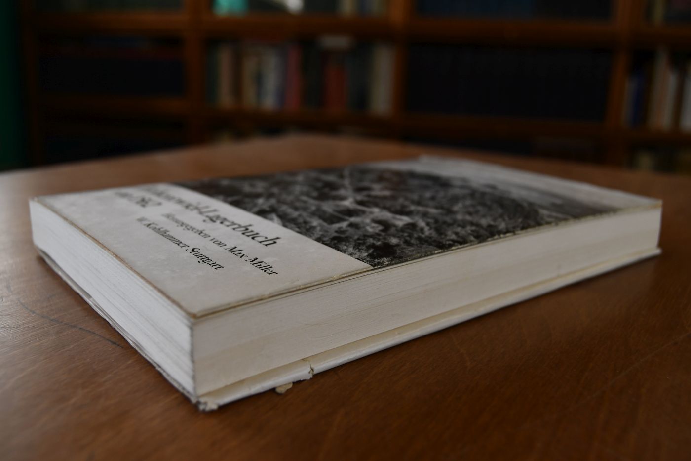 Das Hohentwiel-Lagerbuch von 1562 und weitere Quellen über die Grundherrschaft und das Dorf Singen.