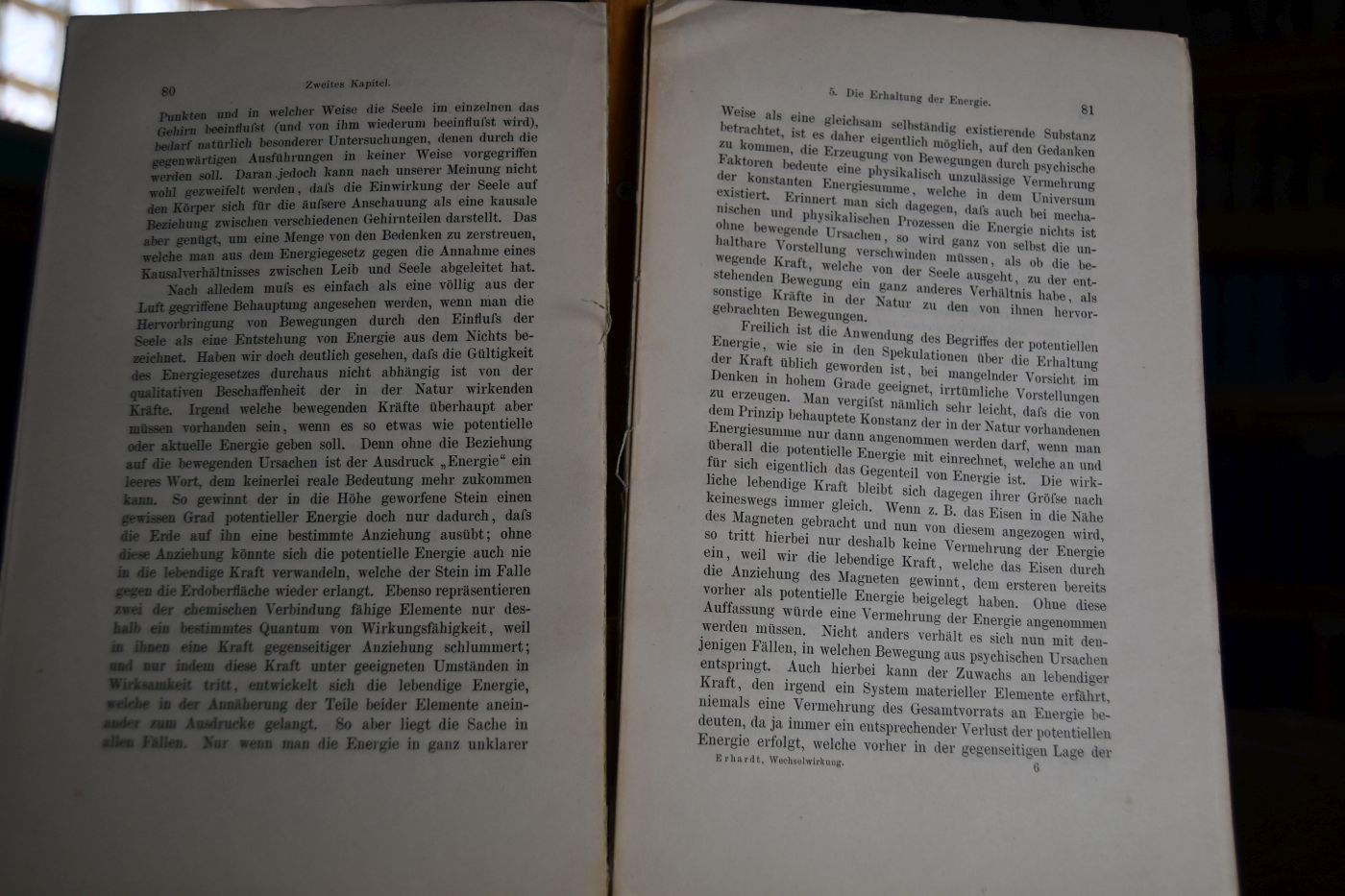 Die Wechselwirkung zwischen Leib und Seele. Eine Kritik der Theorie des psychophysischen Parallelismus.