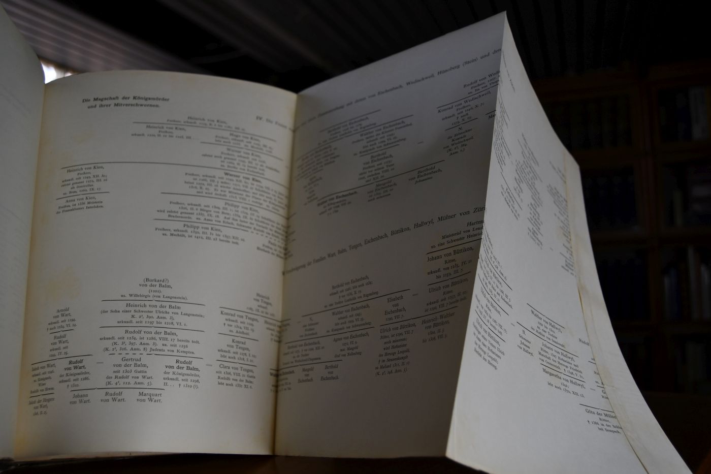 Die Miller von und zu Aichholz. Eine genealogische Studie. I. Theil Die Müllner von Zürich und ihr Sturz (1102 - 1386) II. Bd. Vom Tode des Reichsvogtes Jakob des Mülners bis zur Schlacht bei Sempach. (1287 - 1386.) B. Anmerkungen.
