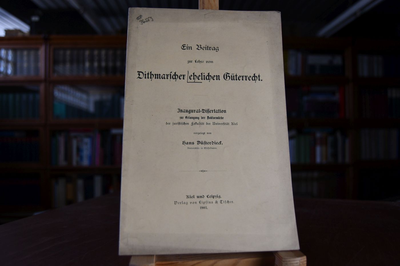 Ein Beitrag zur Lehre vom Dithmarscher ehelichen Güterrecht.
