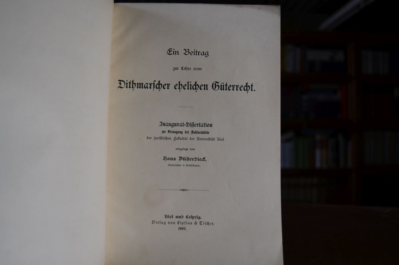 Ein Beitrag zur Lehre vom Dithmarscher ehelichen Güterrecht.