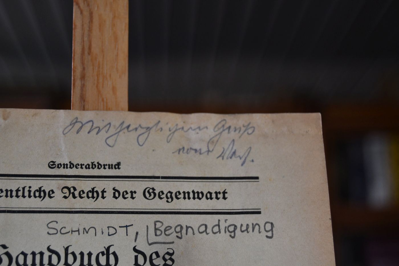 § 100. Begnadigung und Amnestie.