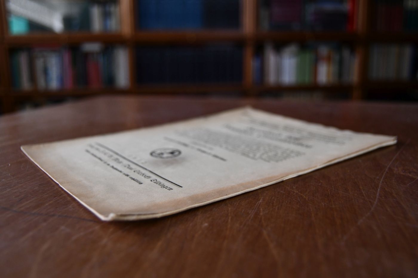 § 100. Begnadigung und Amnestie.