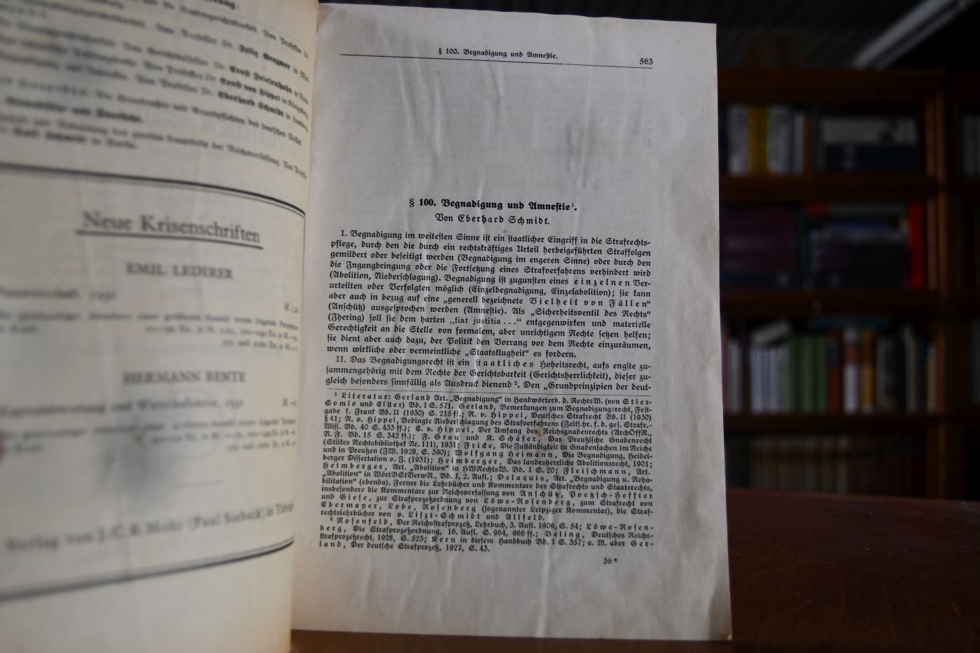 § 100. Begnadigung und Amnestie.