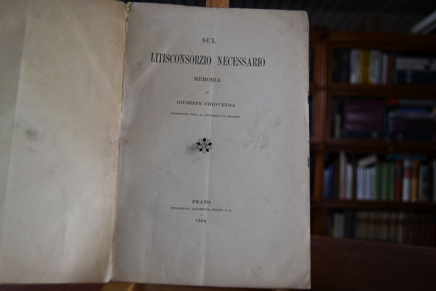 Sul Litisconsorzio necessario, Memoria.