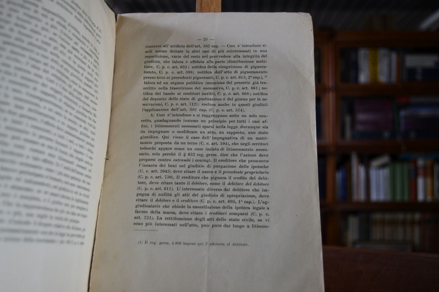 Sul Litisconsorzio necessario, Memoria.