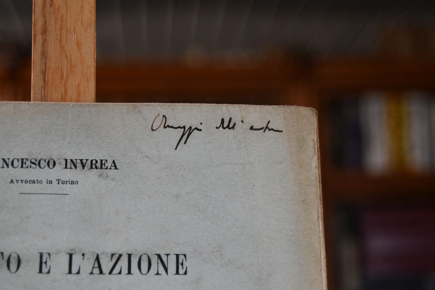 Il Torto e l`azione.