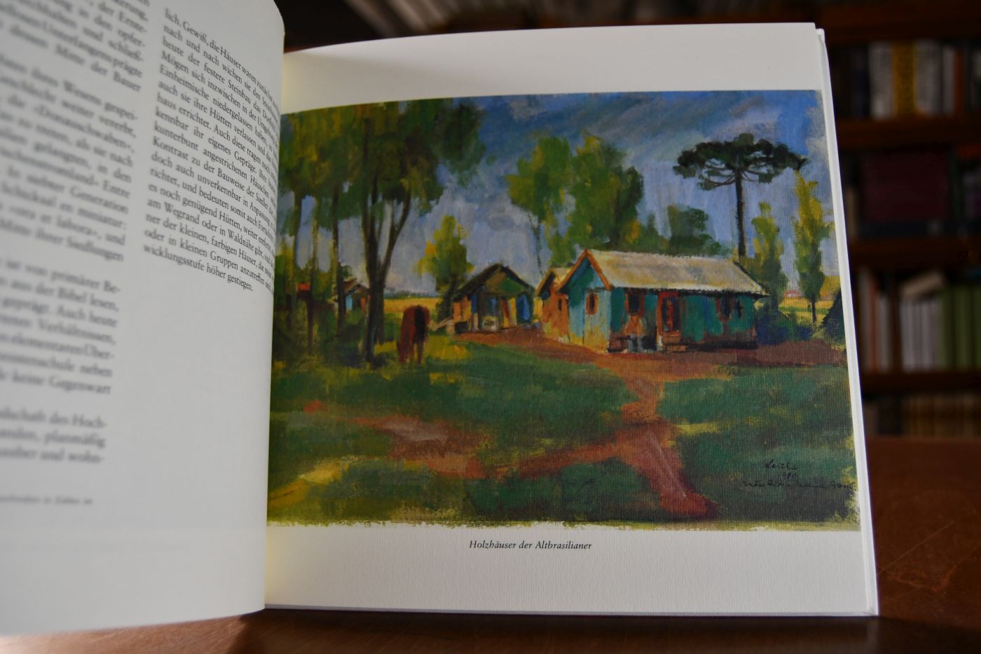 Donauschwaben in Brasilien. Entre Rios - Siedlung als Schicksal. Gedichte und Betrachtungen zu Aquarellen und Tuschezeichnungen.