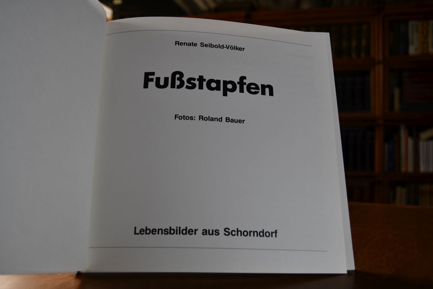 Fussstapfen. Lebensbilder aus Schorndorf.