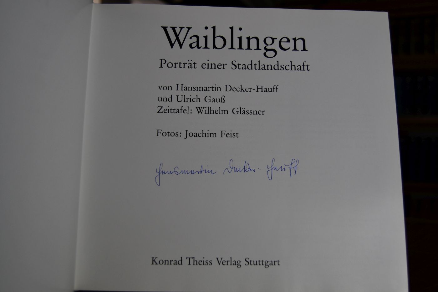 Waiblingen Porträt einer Stadtlandschaft.