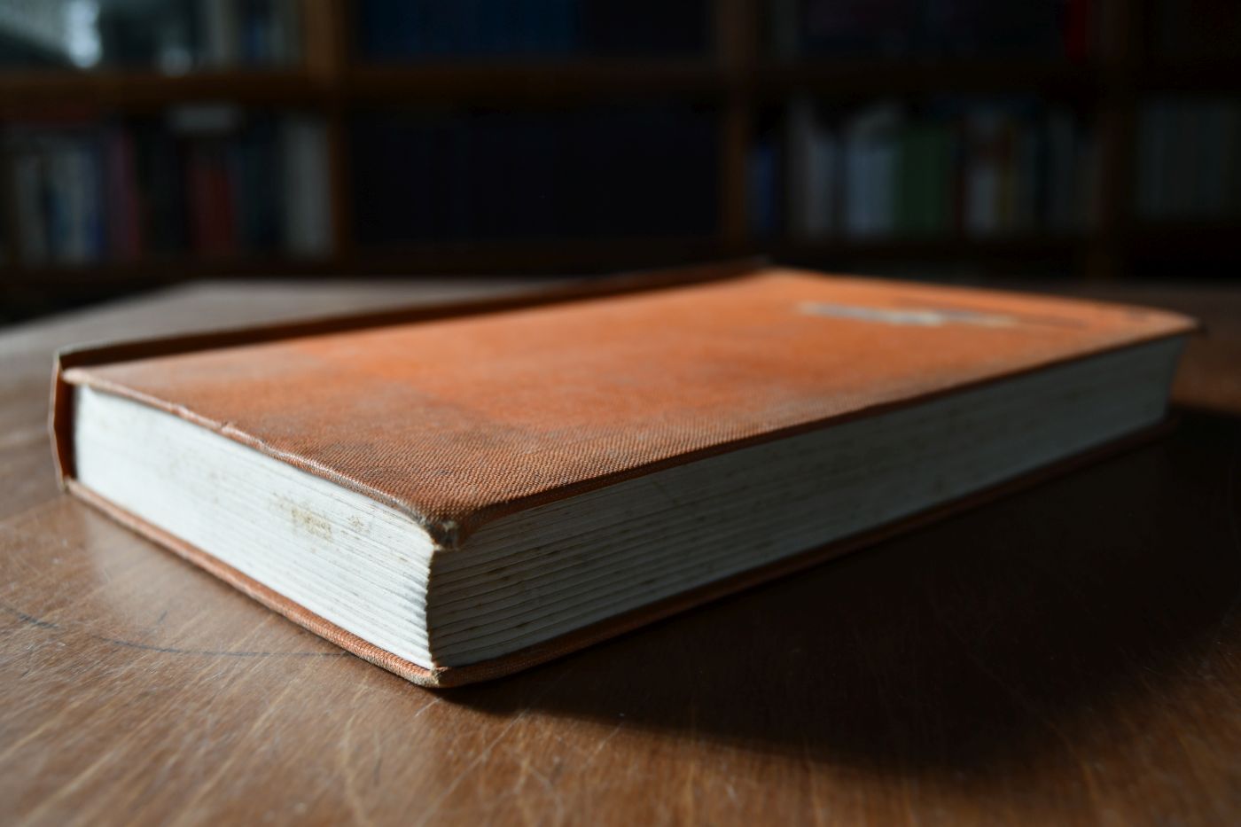 Hitler`s Magician Schacht. The Life and Loans of Dr. Hjalmar Schacht.
