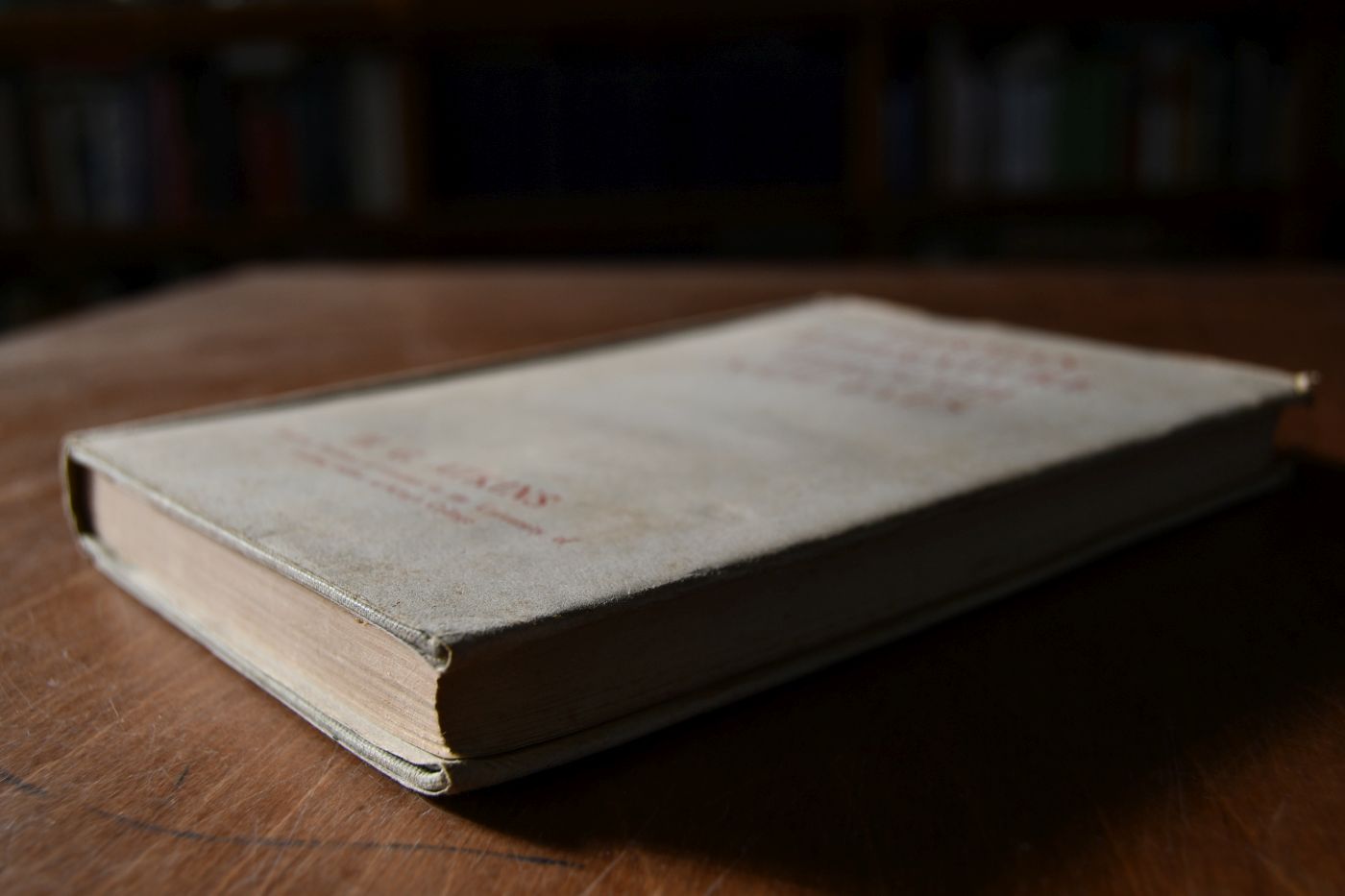 German literature through Nazi eyes.