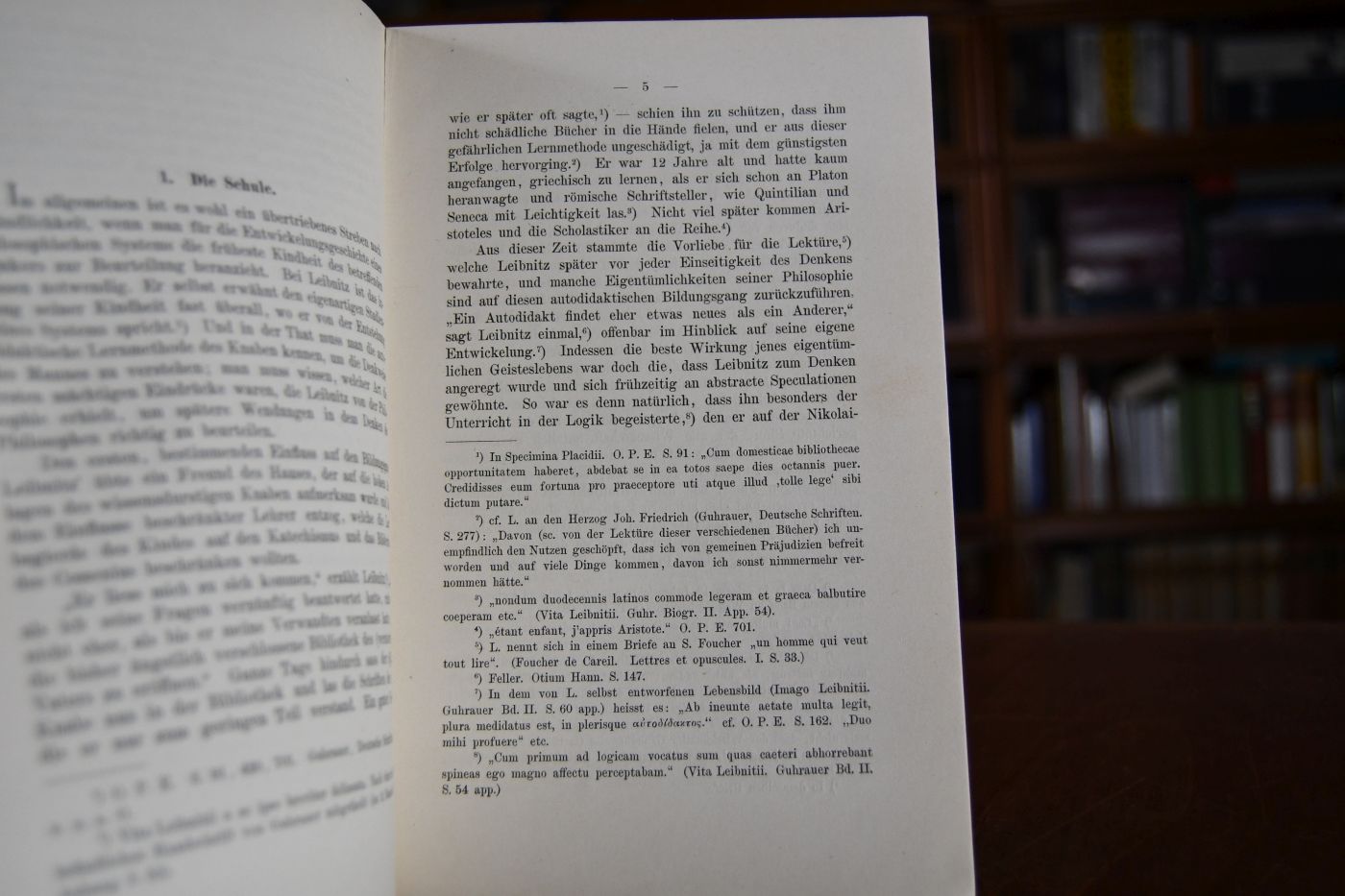Zur Entwicklungsgeschichte der Leibnitzschen Monadenlehre.
