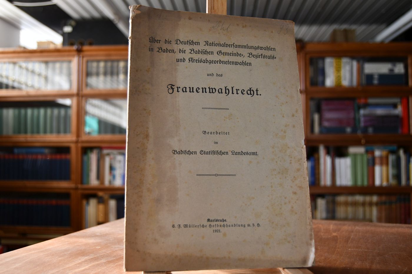 Über die Deutschen Nationalversammlungswahlen in Baden, die Badischen Gemeinde-, Bezirksrats. und Kreisabgeordnetenwahlen und das Frauenwahlrecht.