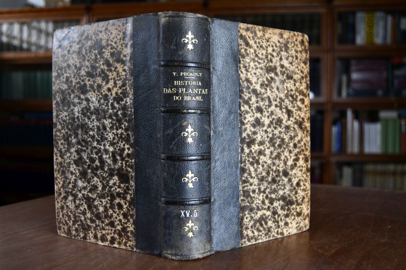 Historia das Plantas Alimentares e de Gozo do Brasil I+II+IV+V. Beigebunden von demselben Autor Monographia do Milho e da Mandioca, sua historia, variedades, cultura, uso, composicao chimica, etc., 175 S., 1878, Rio de Janeiro, Laemmert.