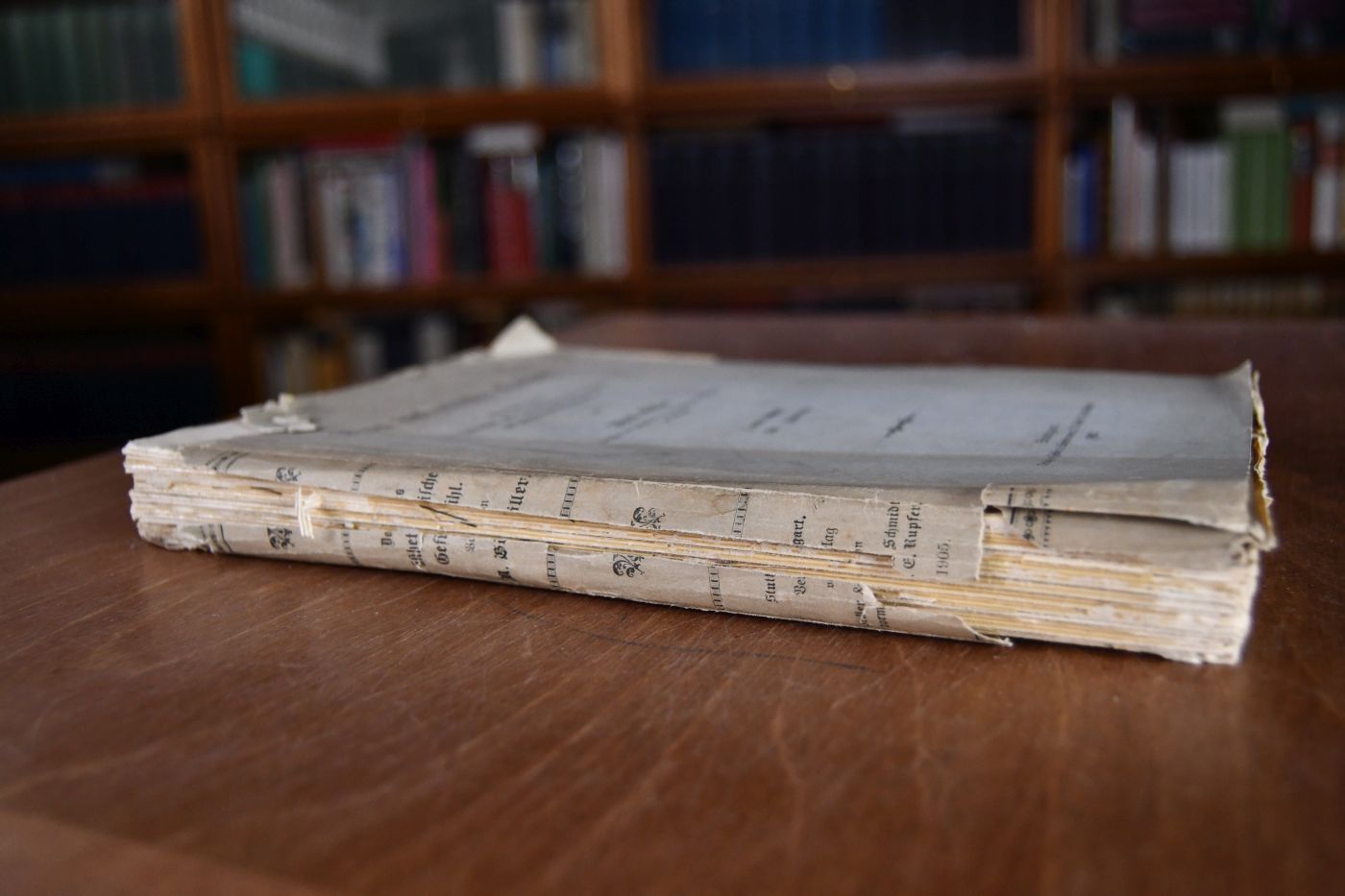 Das ästhetische Gefühl. Eine Erklärung der Schönheit und Zergliederung ihres Erfassens auf psychologischer Grundlage. 1. und 2. Buch.
