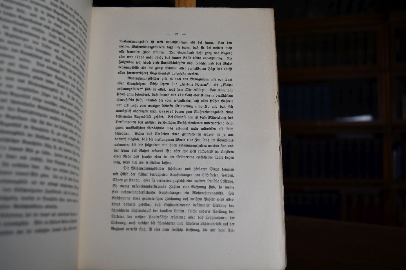 Das ästhetische Gefühl. Eine Erklärung der Schönheit und Zergliederung ihres Erfassens auf psychologischer Grundlage. 1. und 2. Buch.
