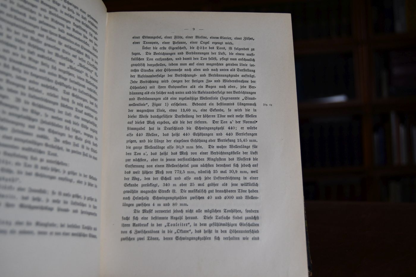 Das ästhetische Gefühl. Eine Erklärung der Schönheit und Zergliederung ihres Erfassens auf psychologischer Grundlage. 1. und 2. Buch.