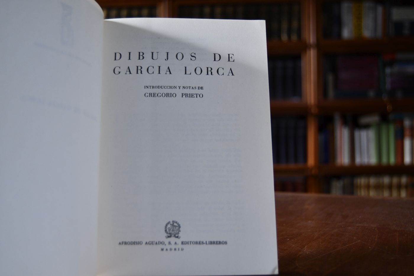 Dibujos de Garcia Lorca.
