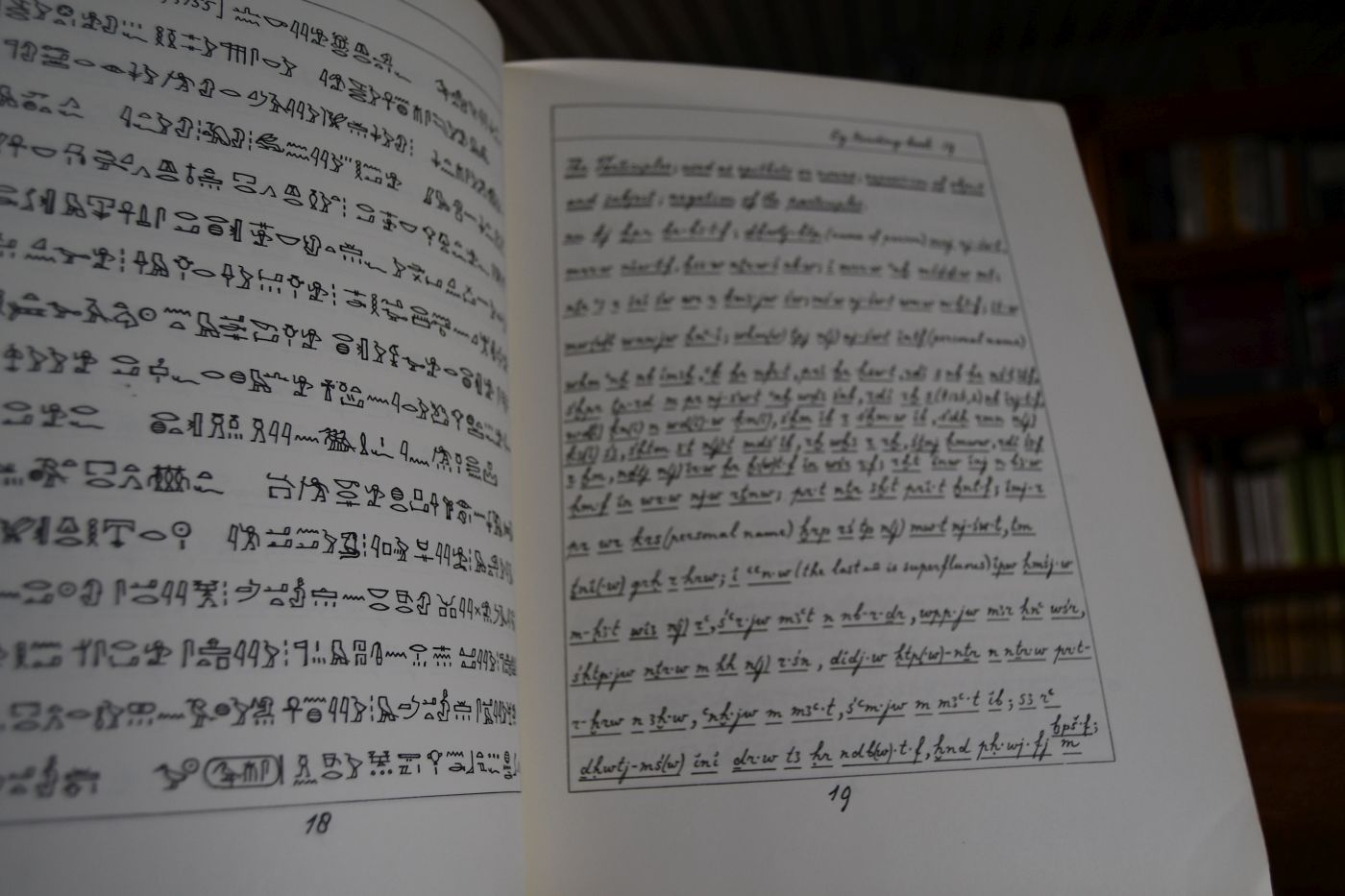 Egyptian Readingbook. Exercises and middle egyptian texts.