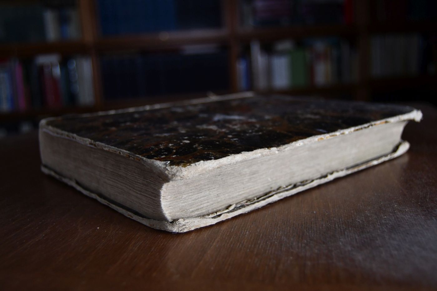 Didaskalia oder Blätter für Geist, Gemüth und Publizität, Dritter Jahrgang, 1825. 1. Halbjahr ( Nummer 1-181 ohne Nr. 97).