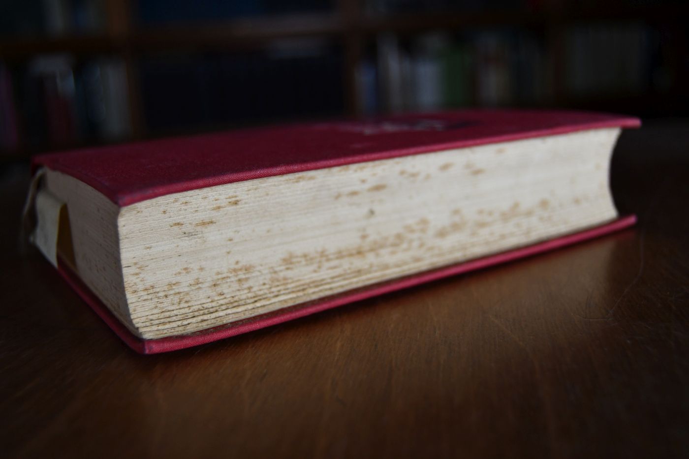 Rebellen um Ehre. Mein Kampf für die nationale Erhebung 1918-33.