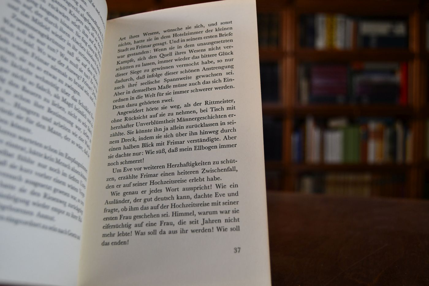 Traumgefährten. Roman.