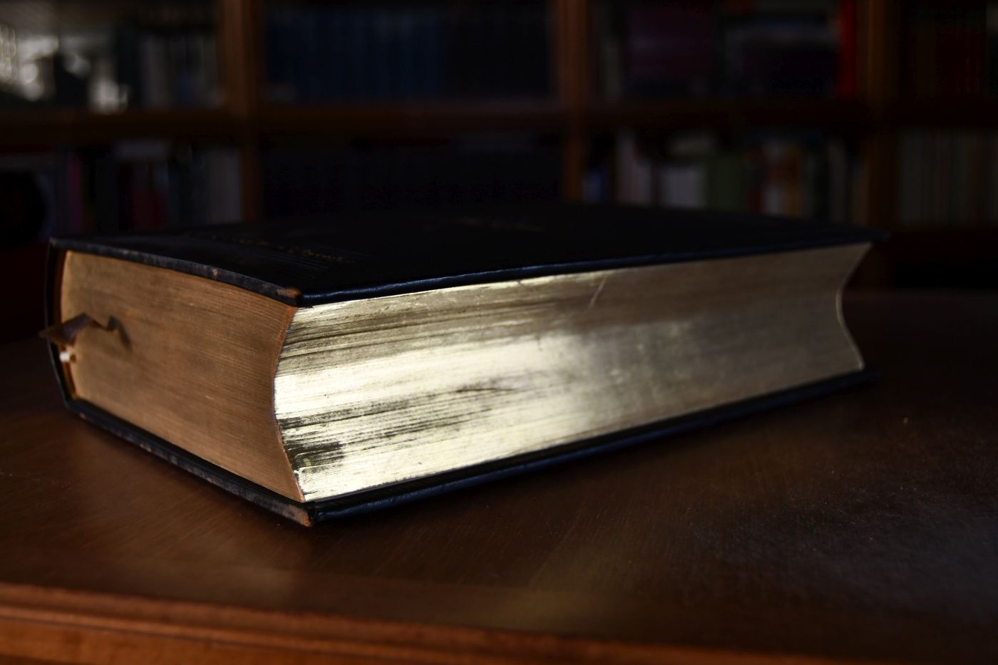 Die Bibel oder die ganze Heilige Schrift des Alten u. Neuen Testaments nach der deutschen Übersetzung D. Martin Luthers.