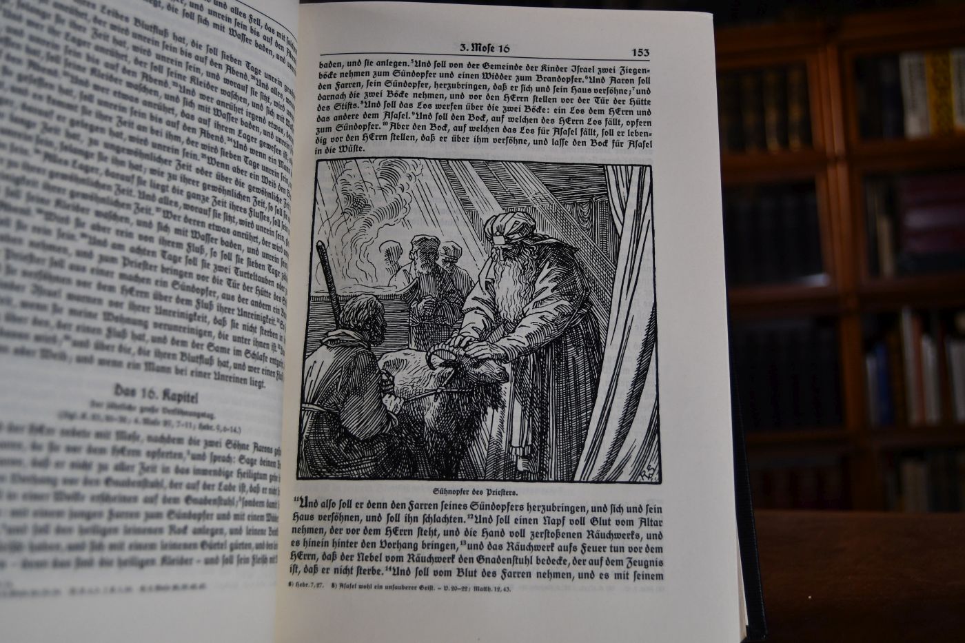 Die Bibel oder die ganze Heilige Schrift des Alten u. Neuen Testaments nach der deutschen Übersetzung D. Martin Luthers.