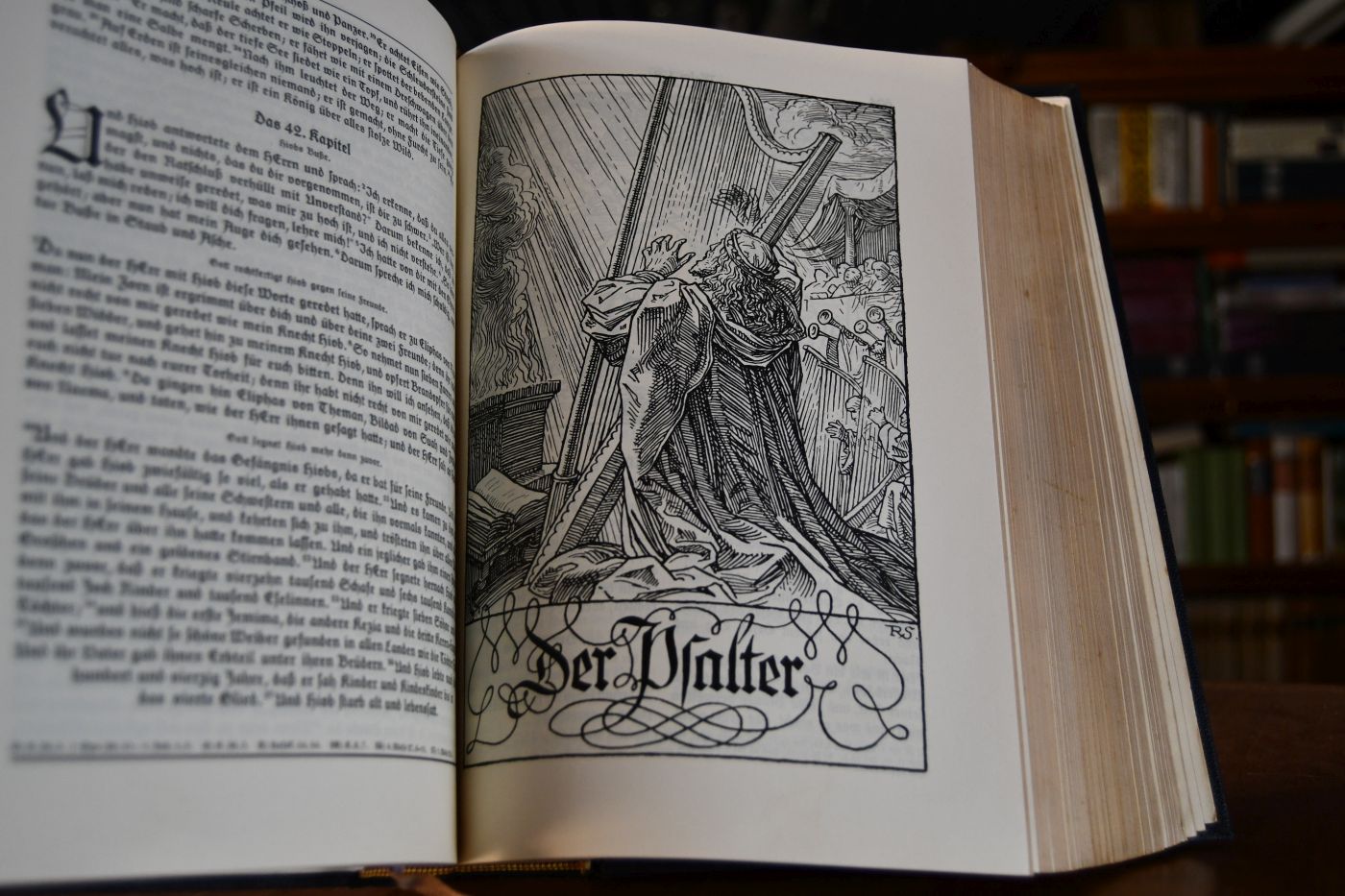 Die Bibel oder die ganze Heilige Schrift des Alten u. Neuen Testaments nach der deutschen Übersetzung D. Martin Luthers.