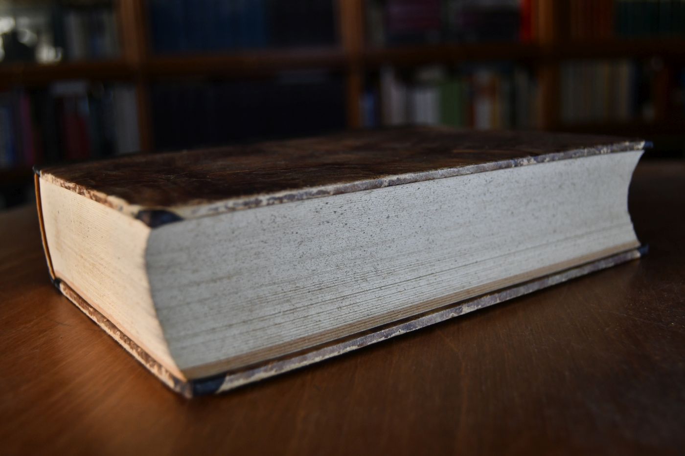 Grundzüge des katholischen Kirchenrechtes. Angebunden vom gleichen Autor Zusammenstellung der wichtigsten durch den neuen Codex jur. can. herbeigeführten Änderungen. Ergänzungsheft zu "Grundzüge des katholischen Kirchenrechtes", Graz, Moser, 4. verbesserte Auflage, 1919, 56 S.
