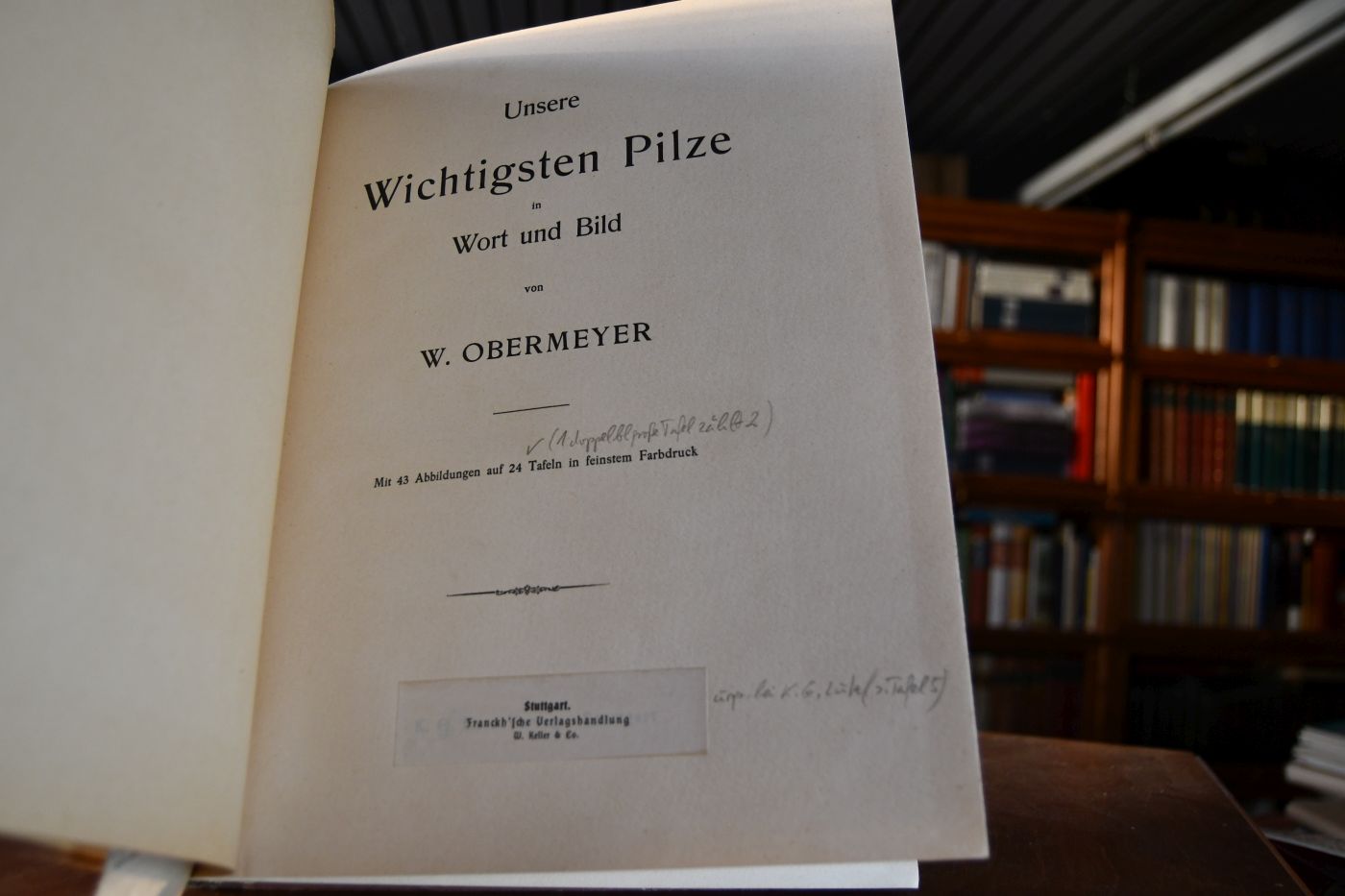 Unsere Wichtigsten Pilze in Wort und Bild.