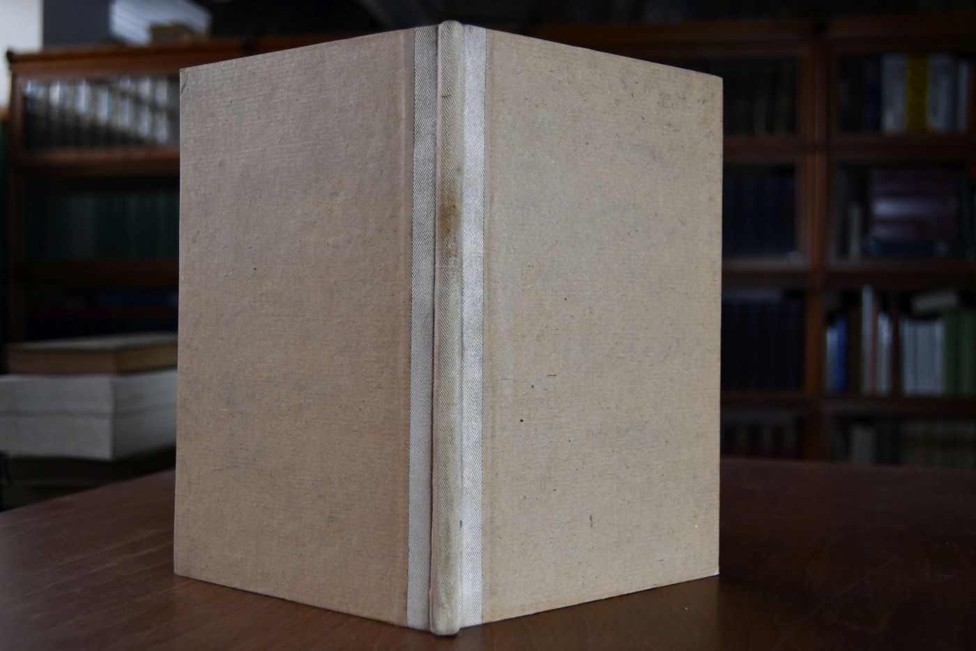 Chronicon Novaliciense ex recensione Bethmanni in usum scholarum ex Monumentis Germaniae historicis recudi fecit.