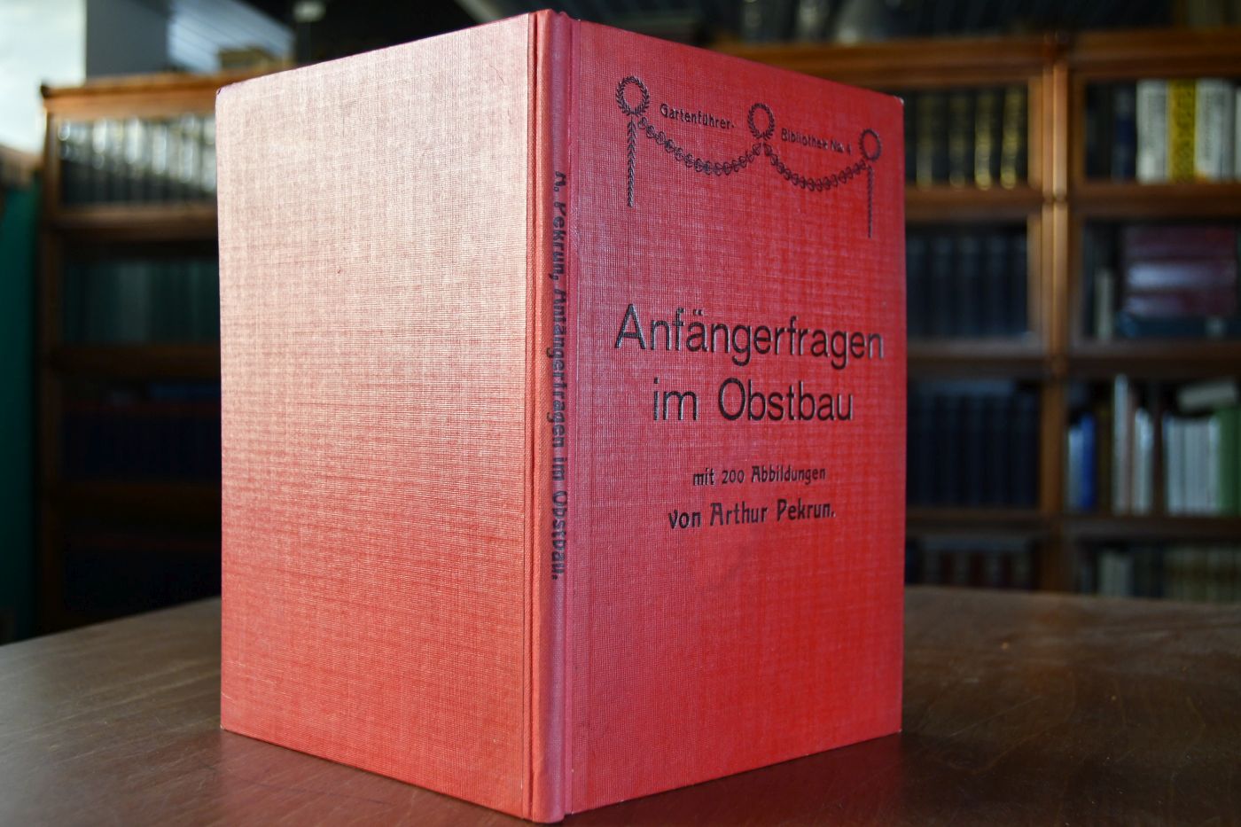 Anfängerfragen zum Obstbaumschnitt.