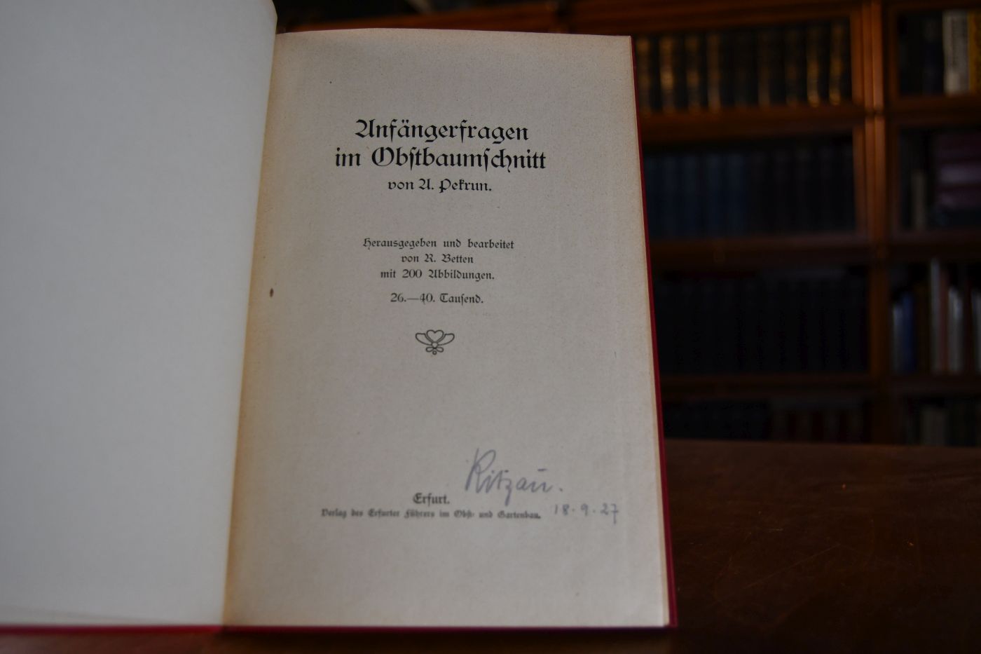 Anfängerfragen zum Obstbaumschnitt.