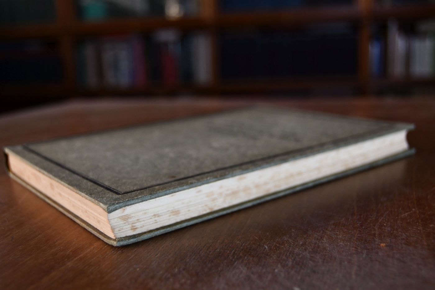 Handbuch der Schüsslerschen Biochemie.