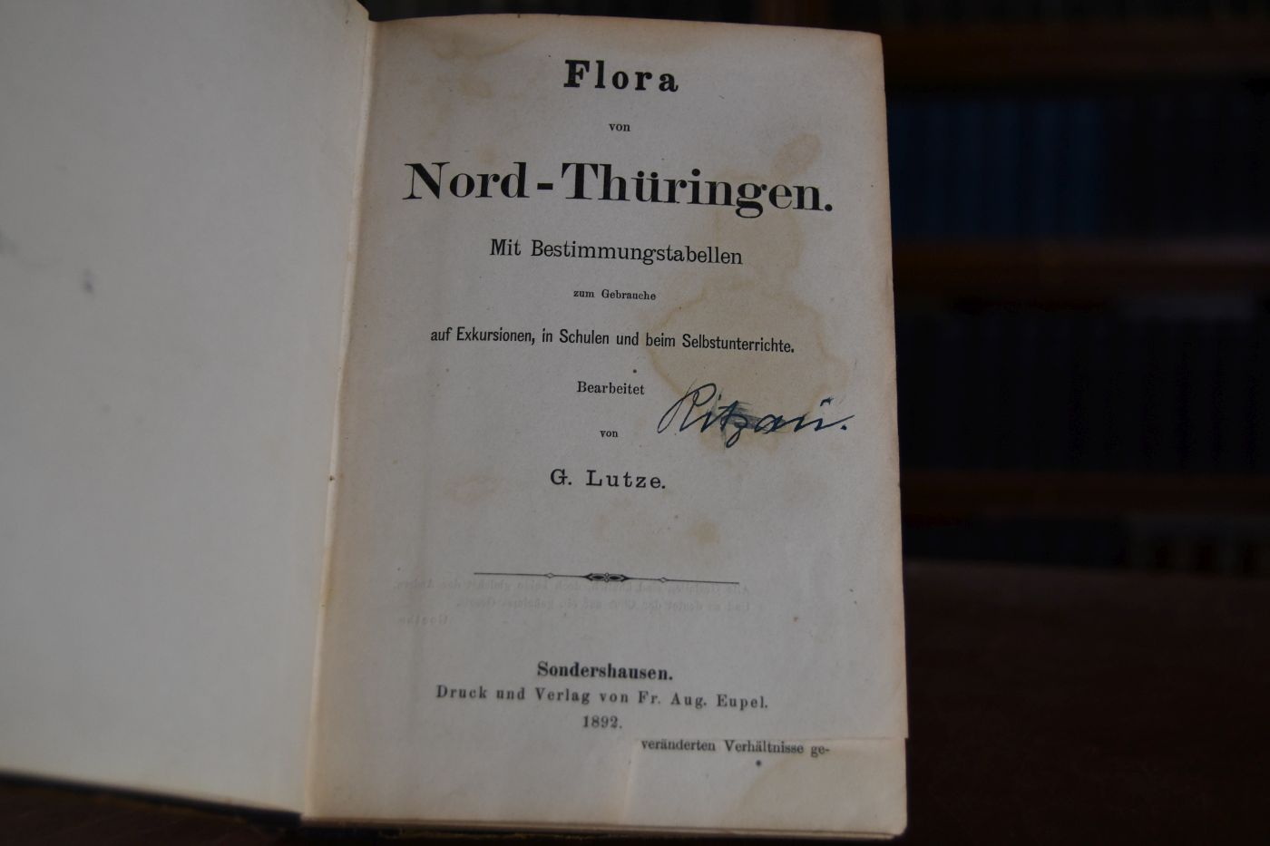 Flora von Nord-Thüringen.
