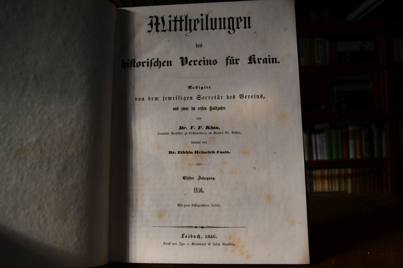 Mittheilungen des historischen Vereins für Krain. Eilfter Jahrgang, 1856.
