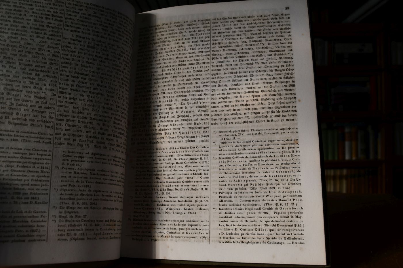 Mittheilungen des historischen Vereins für Krain. Eilfter Jahrgang, 1856.