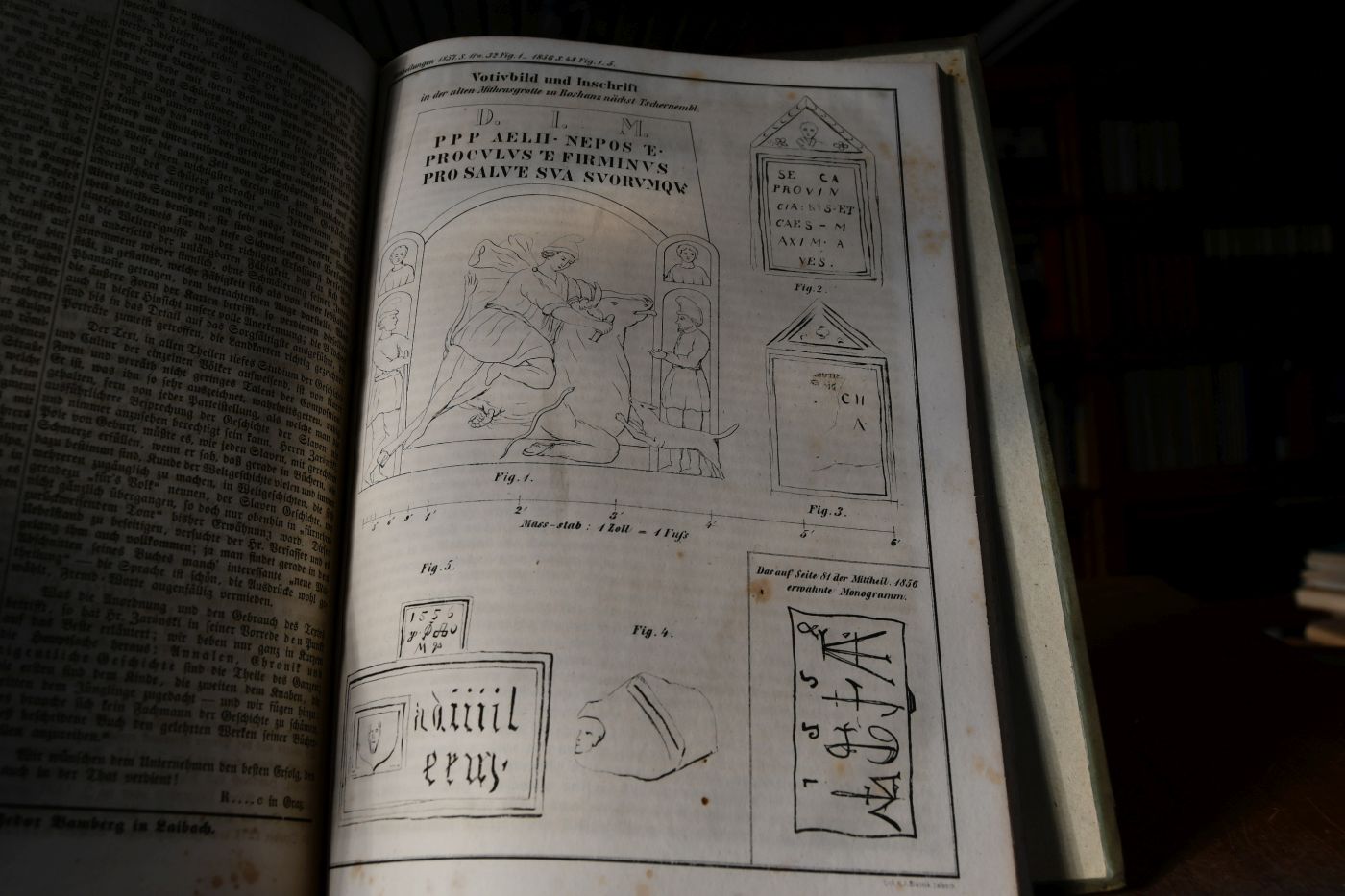 Mittheilungen des historischen Vereins für Krain. Eilfter Jahrgang, 1856.