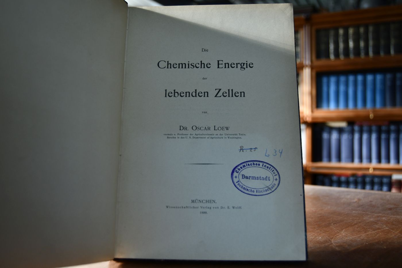 Die chemische Energie der lebenden Zellen.