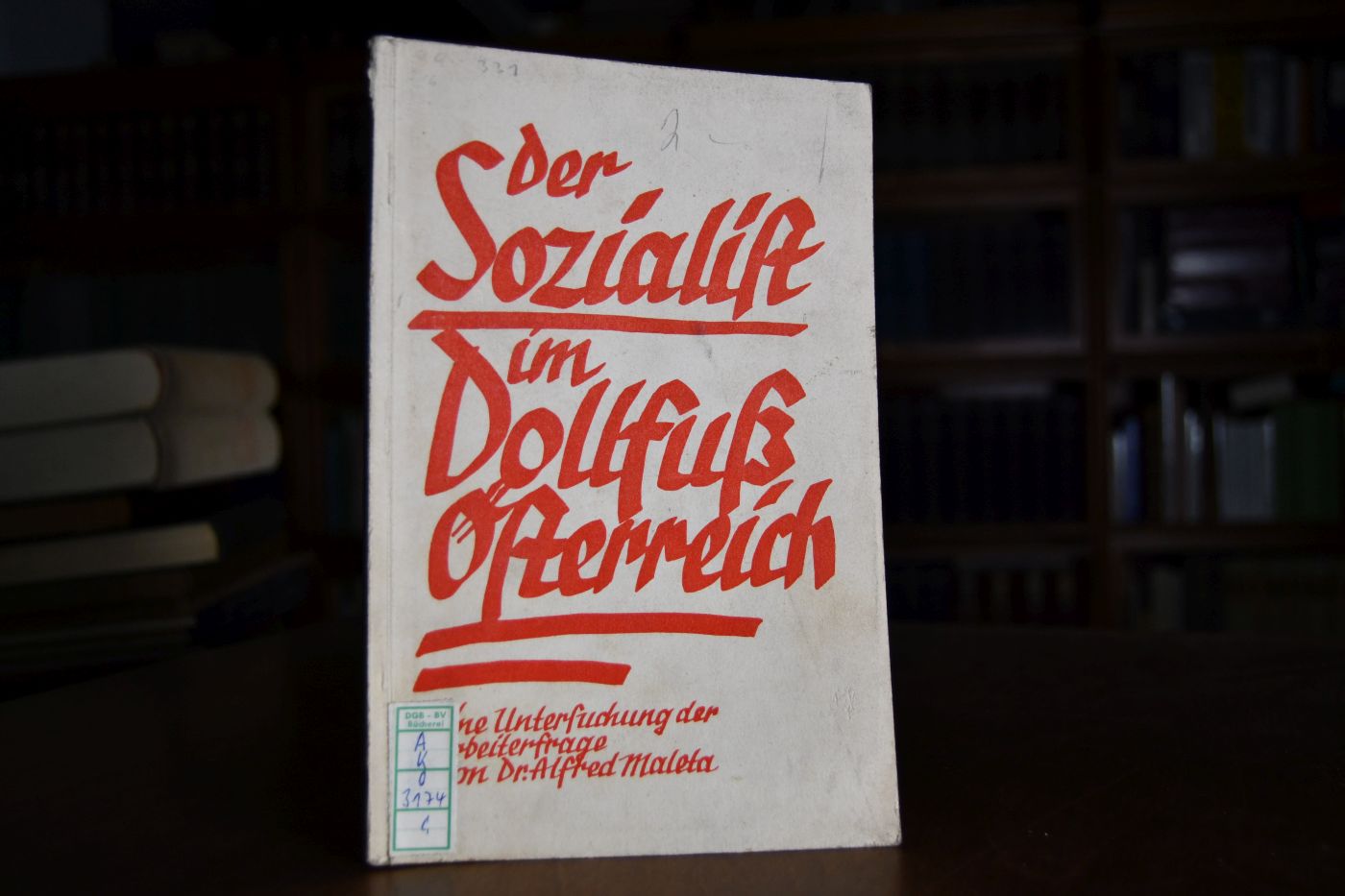 Der Sozialist im Dollfuß-Österreich. Eine Untersuchung der Arbeiterfrage.